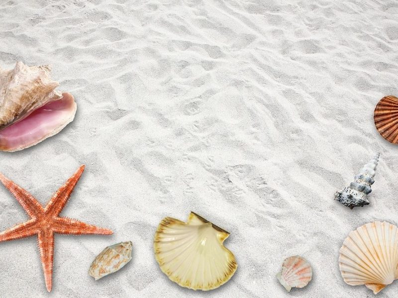 Beach Party